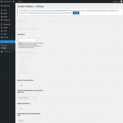 Page screenshot: Google Analytics &rarr; Settings