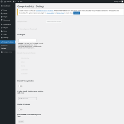 Page screenshot: Google Analytics &rarr; Settings