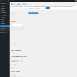 Page screenshot: Google Analytics &rarr; Settings