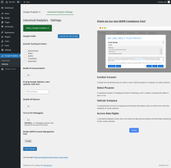 Page screenshot: Google Analytics &rarr; Settings