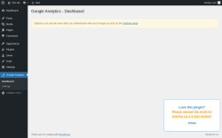Page screenshot: Google Analytics