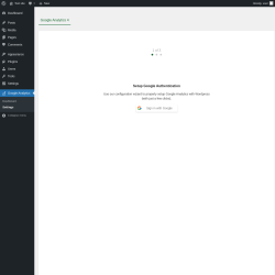Page screenshot: Google Analytics &rarr; Settings