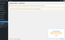 Page screenshot: Google Analytics
