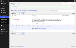 Page screenshot: Plugins &lsaquo; Test site &mdash; WordPress