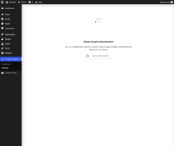 Page screenshot: Google Analytics &rarr; Settings