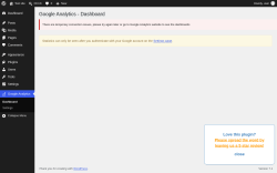 Page screenshot: Google Analytics