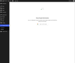 Page screenshot: Google Analytics &rarr; Settings