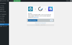 Page screenshot: Goon ‹ Test site — WordPress