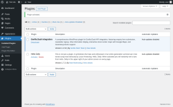 Page screenshot: Plugins &lsaquo; Test site &mdash; WordPress