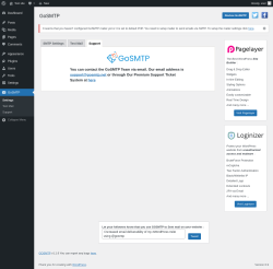 Page screenshot: GoSMTP → Support