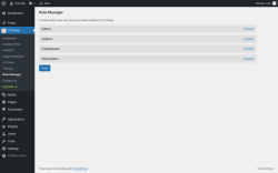 Page screenshot: AI Power → Role Manager