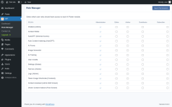 Page screenshot: AIP → Role Manager