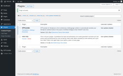 Page screenshot: Plugins &lsaquo; Test site &mdash; WordPress