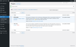Page screenshot: Plugins &lsaquo; Test site &mdash; WordPress
