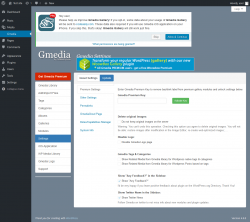 Page screenshot: Gmedia → Settings