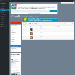Page screenshot: Gmedia → WP Media Library