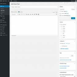 Page screenshot: Add New Post ‹ Test site — WordPress