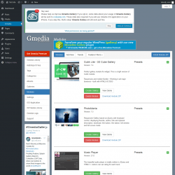 Page screenshot: Gmedia → Modules