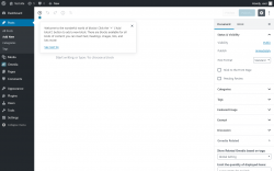 Page screenshot: Add New Post ‹ Test site — WordPress