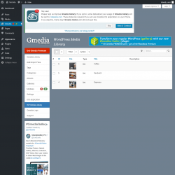 Page screenshot: Gmedia → WP Media Library