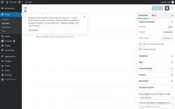 Page screenshot: Add New Post ‹ Test site — WordPress