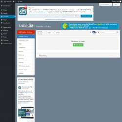 Page screenshot: Gmedia