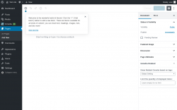 Page screenshot: Add New Page ‹ Test site — WordPress