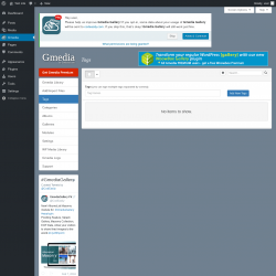 Page screenshot: Gmedia → Tags