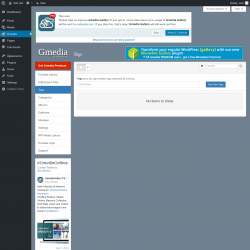 Page screenshot: Gmedia → Tags