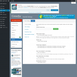 Page screenshot: Gmedia → Settings