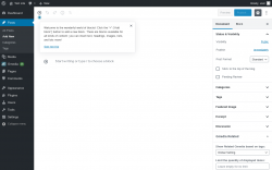 Page screenshot: Add New Post ‹ Test site — WordPress