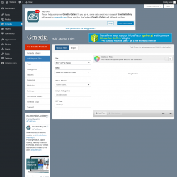 Page screenshot: Gmedia → Add/Import Files