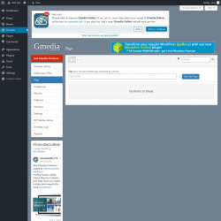 Page screenshot: Gmedia → Tags
