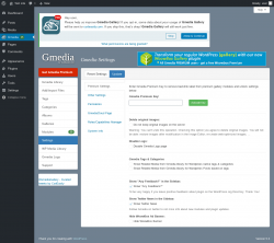 Page screenshot: Gmedia → Settings