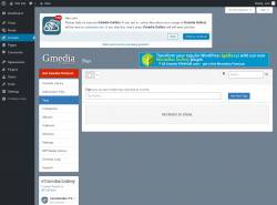 Page screenshot: Gmedia → Tags