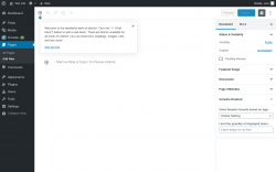 Page screenshot: Add New Page ‹ Test site — WordPress
