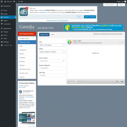 Page screenshot: Gmedia → Add/Import Files