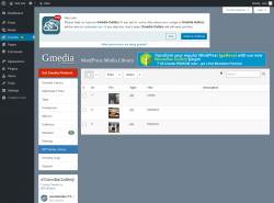 Page screenshot: Gmedia → WP Media Library