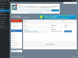 Page screenshot: Gmedia → Categories