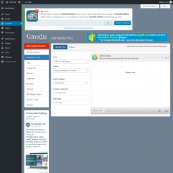 Page screenshot: Gmedia → Add/Import Files