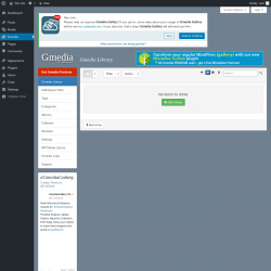 Page screenshot: Gmedia