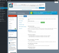 Page screenshot: Gmedia → Settings