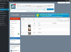 Page screenshot: Gmedia → WP Media Library