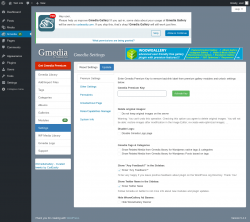 Page screenshot: Gmedia → Settings