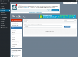 Page screenshot: Gmedia → Tags