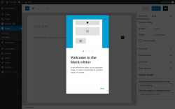 Page screenshot: Add New Page ‹ Test site — WordPress