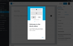 Page screenshot: Add New Page ‹ Test site — WordPress