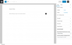 Page screenshot: Add New Page ‹ Test site — WordPress