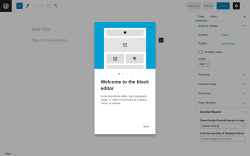 Page screenshot: Add New Page ‹ Test site — WordPress