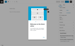 Page screenshot: Add New Page ‹ Test site — WordPress